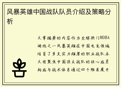风暴英雄中国战队队员介绍及策略分析