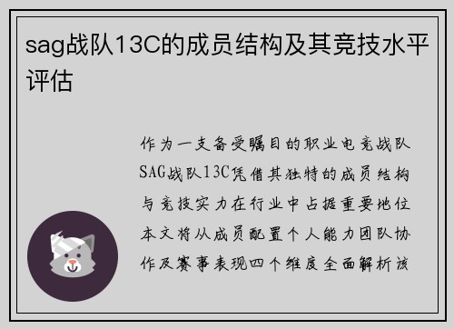 sag战队13C的成员结构及其竞技水平评估